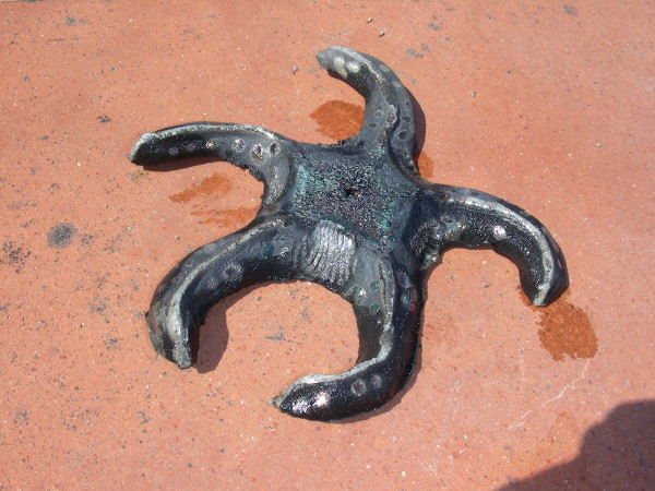 Immagine di una stella marina in raku piccola vista principale