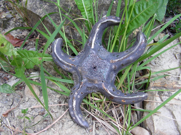 Immagine di una stella marina in raku vista in esterno